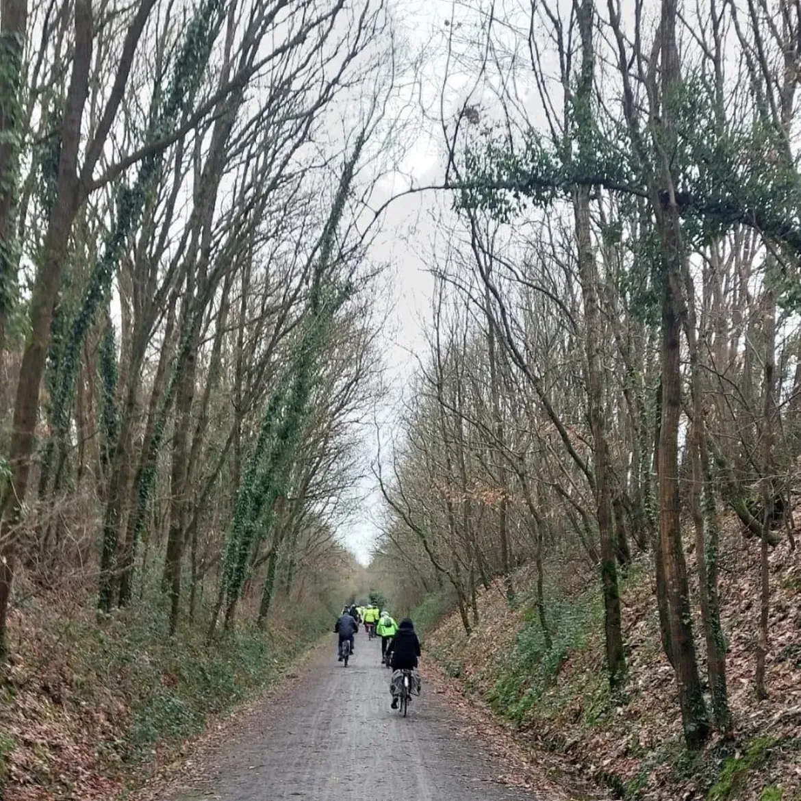 Des cyclistes s'éloignent sur une voie verte bordée de grands arbres