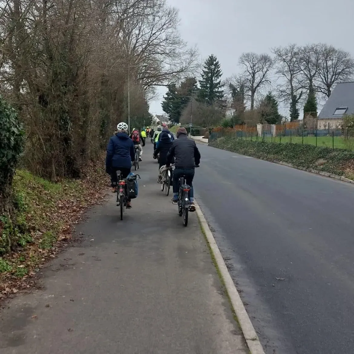 Des cyclistes en gilet jaune roulent en file sur une route de campagne bordée d'arbres